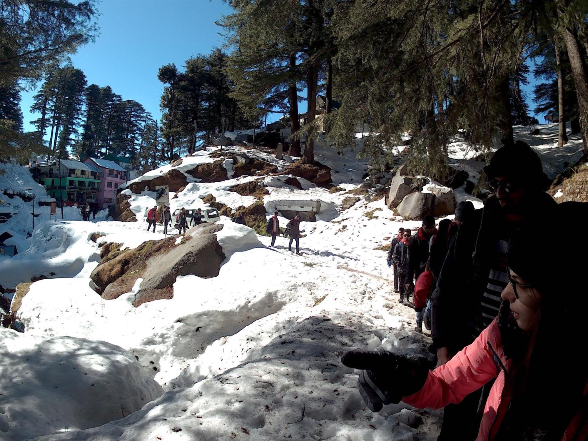 Forest Vibes Kalatop-Rooms And Restaurant Dalhousie Exterior photo