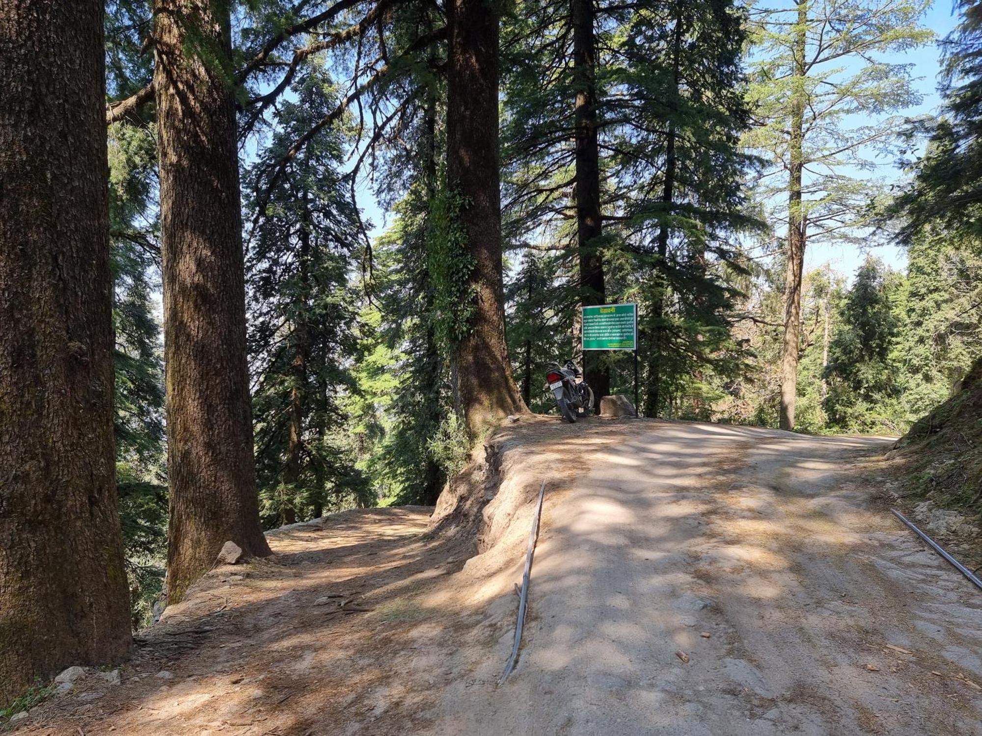 Forest Vibes Kalatop-Rooms And Restaurant Dalhousie Exterior photo