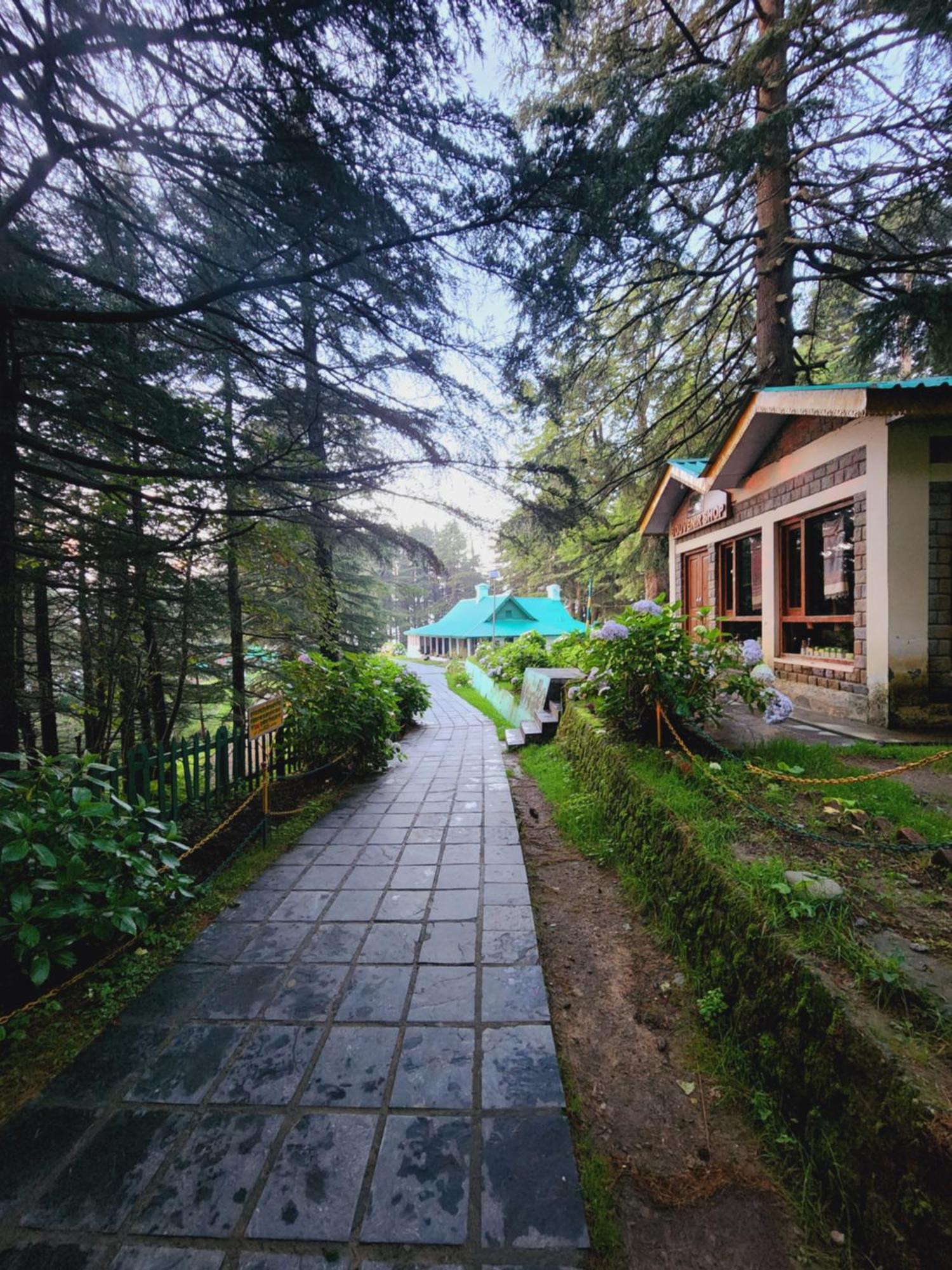 Forest Vibes Kalatop-Rooms And Restaurant Dalhousie Exterior photo