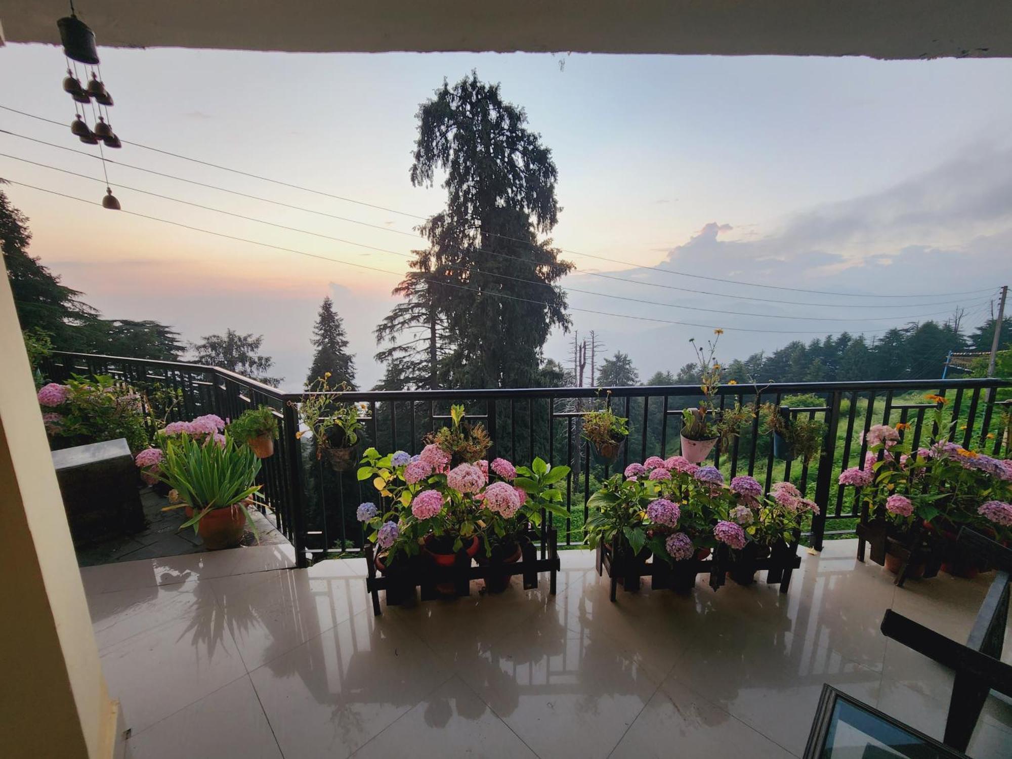 Forest Vibes Kalatop-Rooms And Restaurant Dalhousie Exterior photo