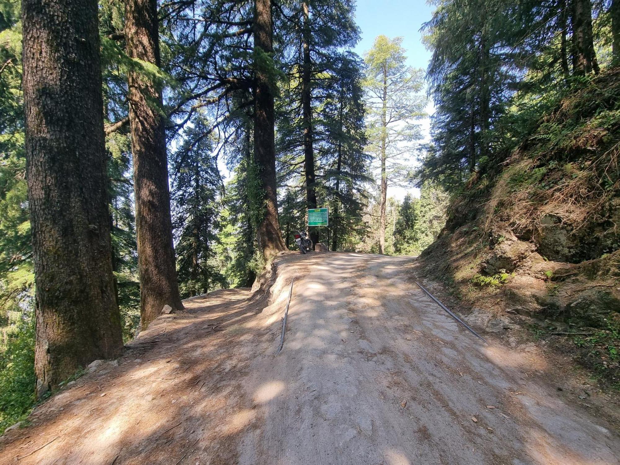 Forest Vibes Kalatop-Rooms And Restaurant Dalhousie Exterior photo